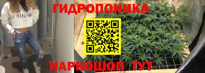 винт Камышлов