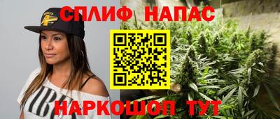 трава Кандалакша