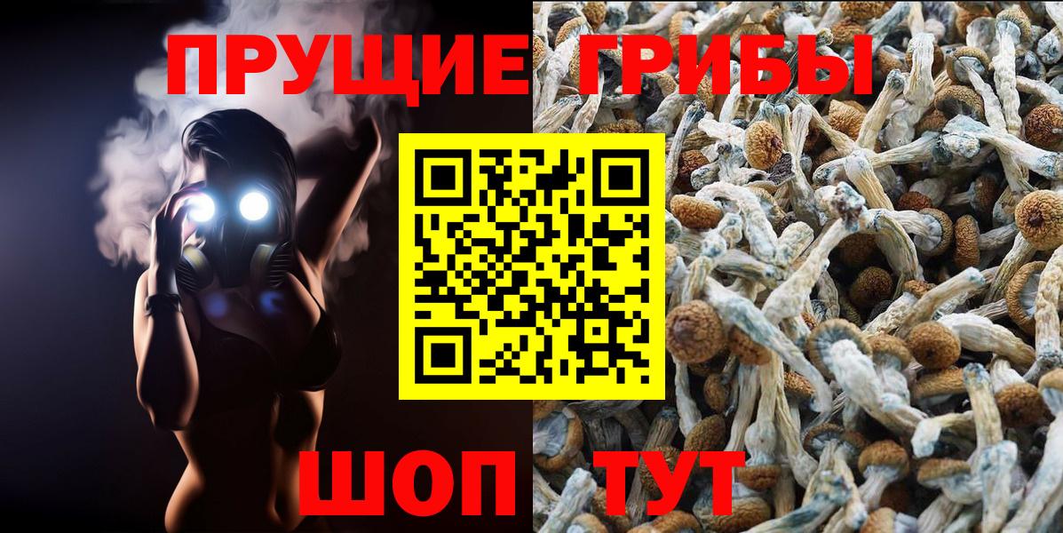 Галлюциногенные грибы Psilocybe Лабытнанги
